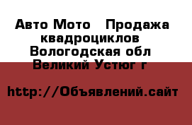 Авто Мото - Продажа квадроциклов. Вологодская обл.,Великий Устюг г.